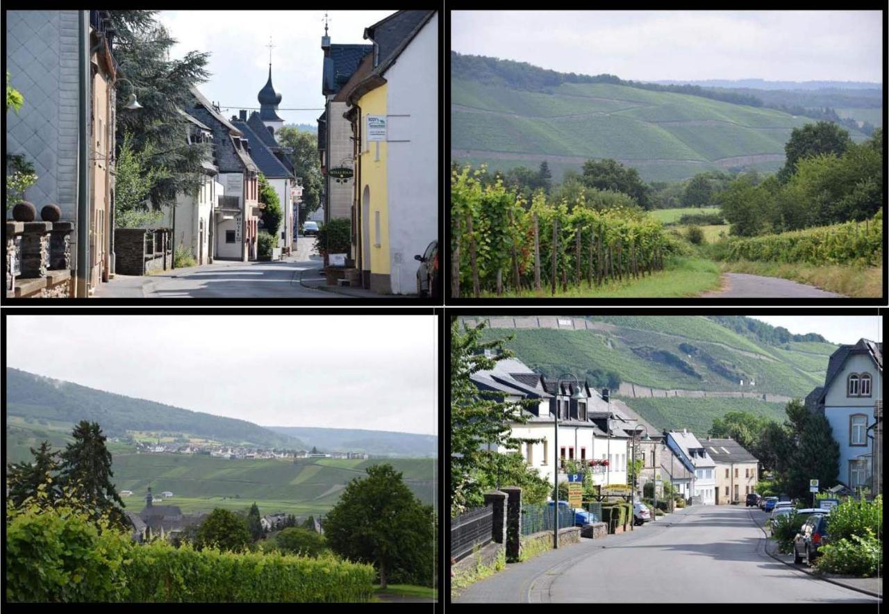 The Old Gemeinde House By The Mosel River Brauneberg Dış mekan fotoğraf